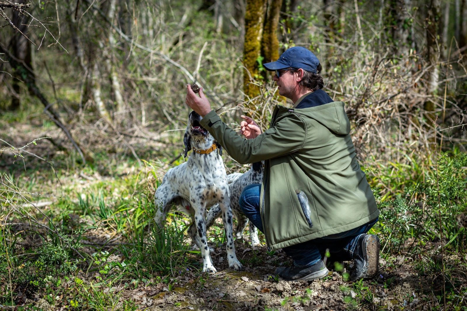 Iskusni tartufar s treniranim psom traga za tartufima u Motovunskoj šumi, Istra